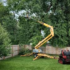 Best Fruit Tree Pruning  in Drew, MS