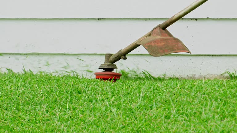 Best Artificial Turf Installation  in Drew, MS
